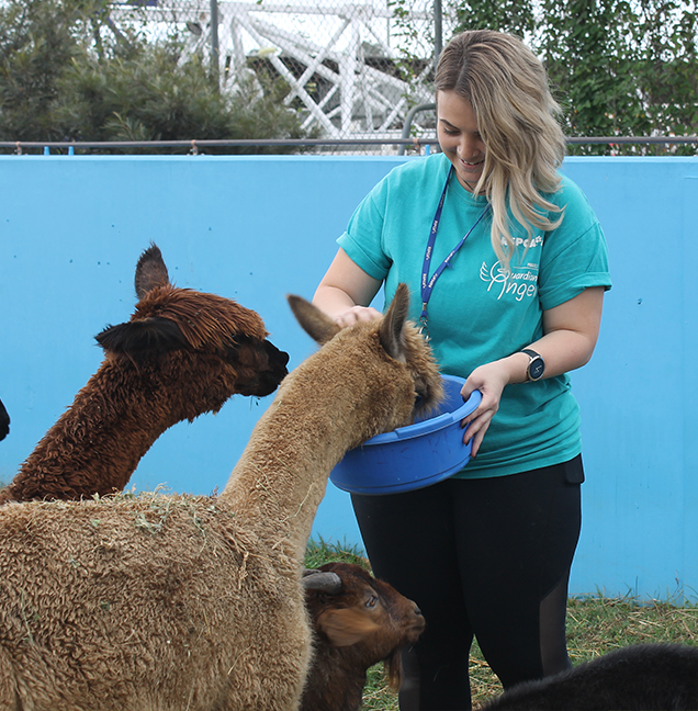 rspca volunteer emmalene klan